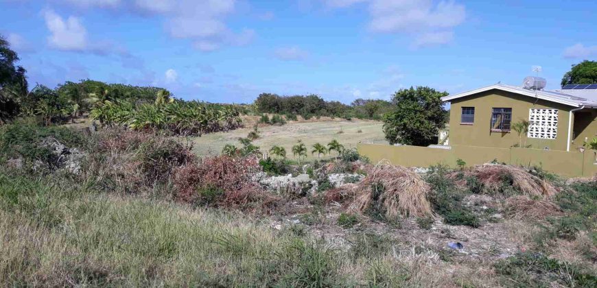 Sunny Meadows, St Philip – Land for Sale