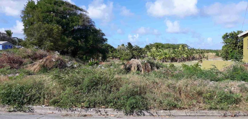 Sunny Meadows, St Philip – Land for Sale