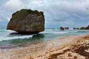 barbados bathsheba caribbean 71034