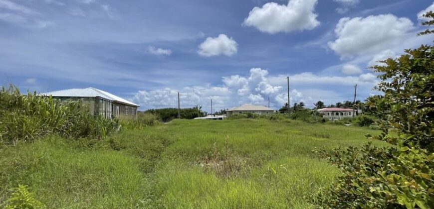 Palm Crescent Lot #2, Fortesecue, St. Philip | Land for Sale in Barbados