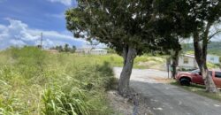 Palm Crescent Lot #2, Fortesecue, St. Philip | Land for Sale in Barbados