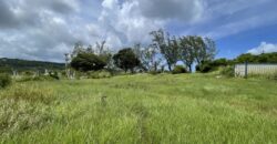 Palm Crescent Lot #2, Fortesecue, St. Philip | Land for Sale in Barbados