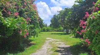 Land for Sale in Barbados | Club Morgan, Christ Church