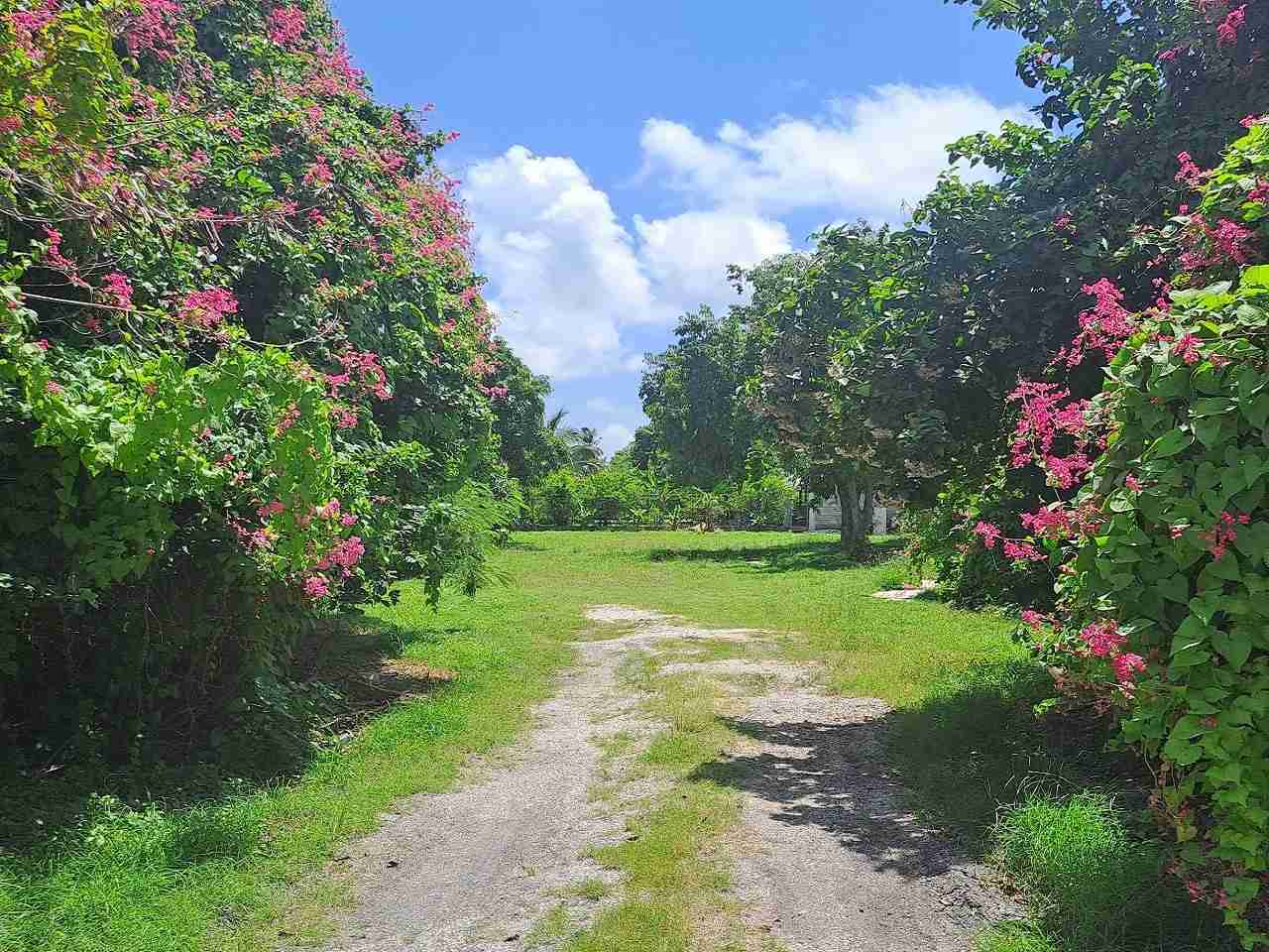 Land for Sale in Barbados | Club Morgan, Christ Church