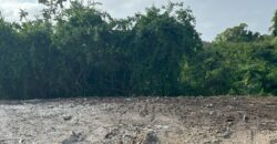 Niles Tenantry, St. Peter | Land for Sale in Barbados
