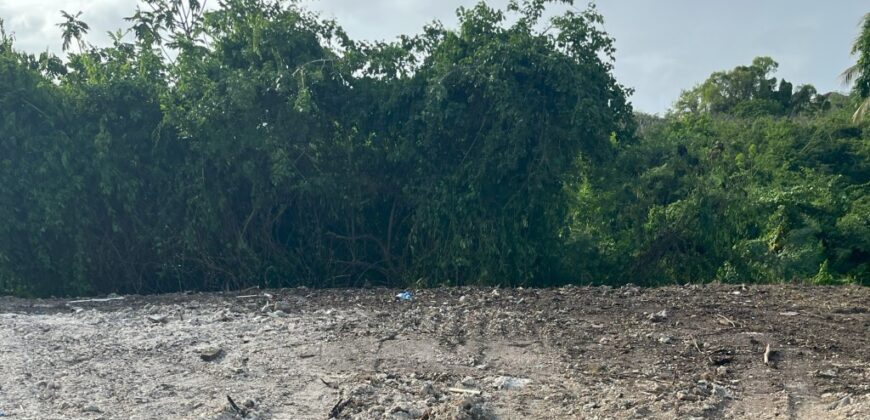 Niles Tenantry, St. Peter | Land for Sale in Barbados