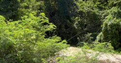 Niles Tenantry, St. Peter | Land for Sale in Barbados