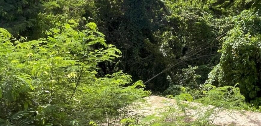 Niles Tenantry, St. Peter | Land for Sale in Barbados