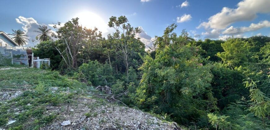 Niles Tenantry, St. Peter | Land for Sale in Barbados