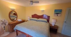 Inch Marlow, Christ Church | Oceanfront apartment for Rent in Barbados