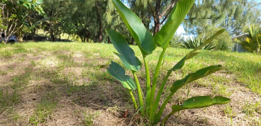 Atlantic Park, St. Joseph | Land for Sale in Barbados