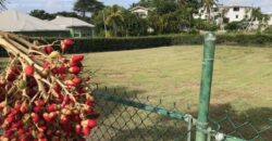 Lot 11 Mount Pleasant Ridge, St. Philip, Barbados |  Land for Sale